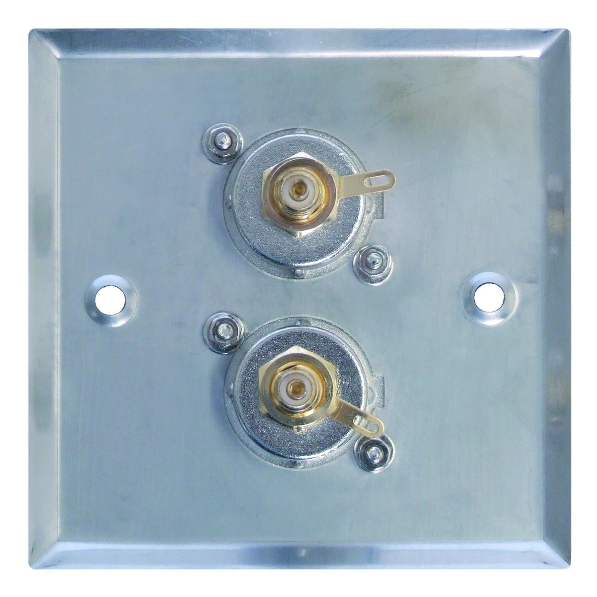 DISC Eagle Metal AV Wall Plate With 2 x Phono Sockets at Gear4music