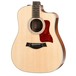 Taylor 210ce DLX 200 Series Electro Acoustic Guitar