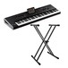 Korg Pa4X 76 Arranger with Free Stand