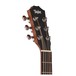 Taylor Baby Acoustic Travel Guitar, Spruce