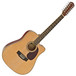 Dreadnought 12 String Acoustic Guitar by Gear4music