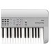 Korg Krome 73 music workstation platinum buttons