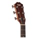 Taylor 214ce Grand Auditorium Electro Acoustic Guitar, Natural