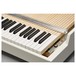 Mellotron M4000D, White - Detail 7