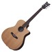 Schecter Deluxe Acoustic Guitar, Natural Satin