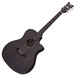 Schecter Deluxe Acoustic Guitar, Satin See Thru Black 