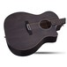 Schecter Deluxe Acoustic Guitar, See Through Black 