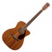 Fender PM-3 Acoustic Guitar