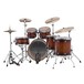 Ludwig Element Evolution 22