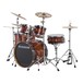 Ludwig Element Evolution 22