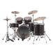 Ludwig Element Evolution 22