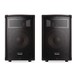 Alesis Speakers