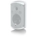 Turbosound IMPACT TCI52-TR-WH 2 Way Full Range Loudspeaker - Angled 2