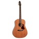 Seagull Coastline Momentum Electro Acoustic Guitar, Natural Front