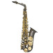 Trevor James Classic II Alto Saxophone, Black and Gold