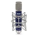 SubZero Tube Microphone - Front