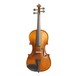 Stentor Graduate Violin Outfit 3/4