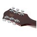 Gretsch G5622T Electromatic Center Block, Walnut Headstock Back