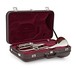 Besson Sovereign BE950 Tenor Horn, Silver Plated