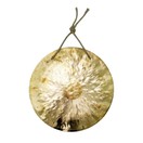Dream 10'' Feng Wind Gong