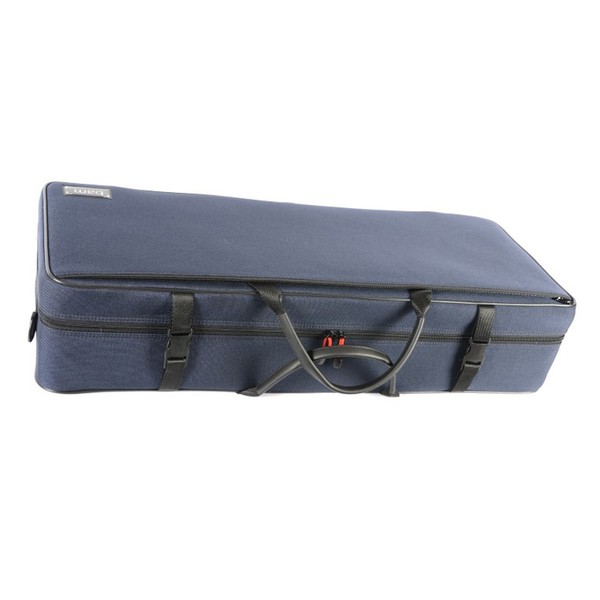 BAM 2005 Violin Case