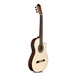 Cordoba Espana 55FCE Negra Macassar Electro Classical Guitar Angle