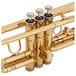 Coppergate C Trumpet by Gear4music