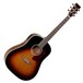 Tanglewood Sundance Performance Pro Dreadnought Electro Acoustic