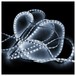 Flexible LED Tape Light Cool White