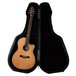 Seagull Artist Mosaic Folk Cutaway Electro Acoustic TIC Case