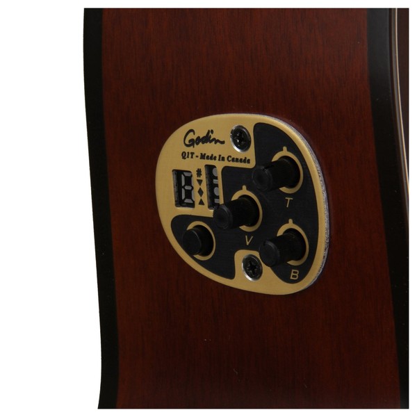 Seagull Entourage Folk Burnt Umber Godin QIT Electroncis