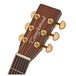 Tanglewood Sundance TW47E Acoustic Guitar