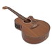 Tanglewood Sundance TW47E Acoustic Guitar