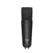 Tascam TM-180 Large-Diaphragm Condenser Microphone 1