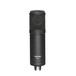 Tascam TM-280 Large-Diaphragm Condenser Microphone 1
