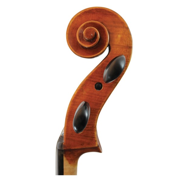 Eastman Master Cello Scroll