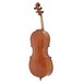 Eastman Master Cello Back