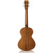 Cordoba 20TM Tenor Ukulele