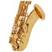 Yanagisawa TWO10 Tenor Saxophone, Brass