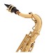 Yanagisawa TWO10 Tenor Saxophone, Brass