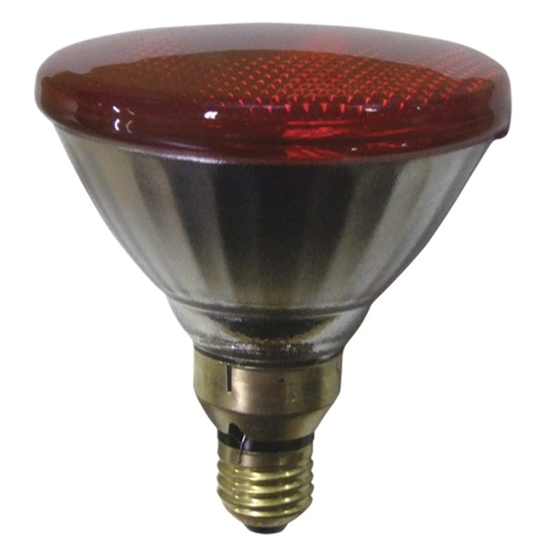 Sylvania Par 38 Lamp Red