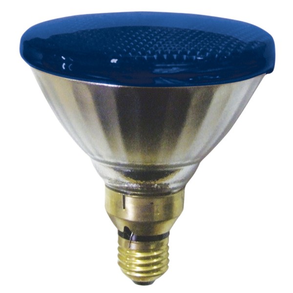 Sylvania Par 38 Lamp Blue