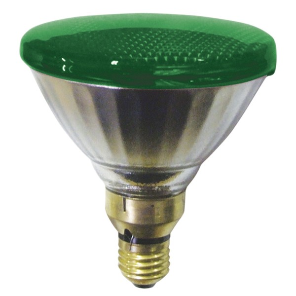 Sylvania Par 38 Lamp Green