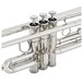 Yamaha YTR3335 Student Trumpet, Silver