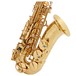 Yanagisawa AWO1U Alto Saxophone, Unlacquered - Ex Demo