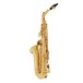 Yanagisawa AWO1U Alto Saxophone, Unlacquered - Ex Demo