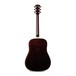 Eko NXT D Acoustic Guitar, Natural Back