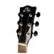 Eko NXT D Acoustic Guitar, Blue SBT Headstock