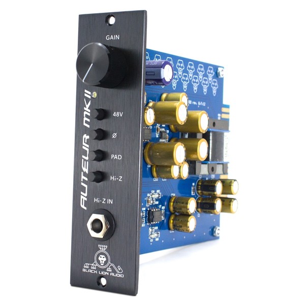 Black Lion Audio Auteur MKII-500 Preamp - Angled
