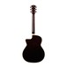 Eko NXT 018 CW EQ Electro Acoustic Guitar, Natural back